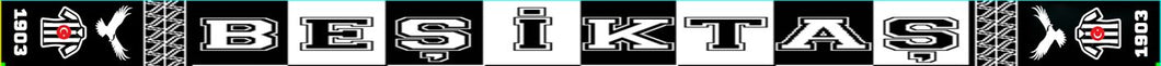 Besiktas Acrylic Football Scarf